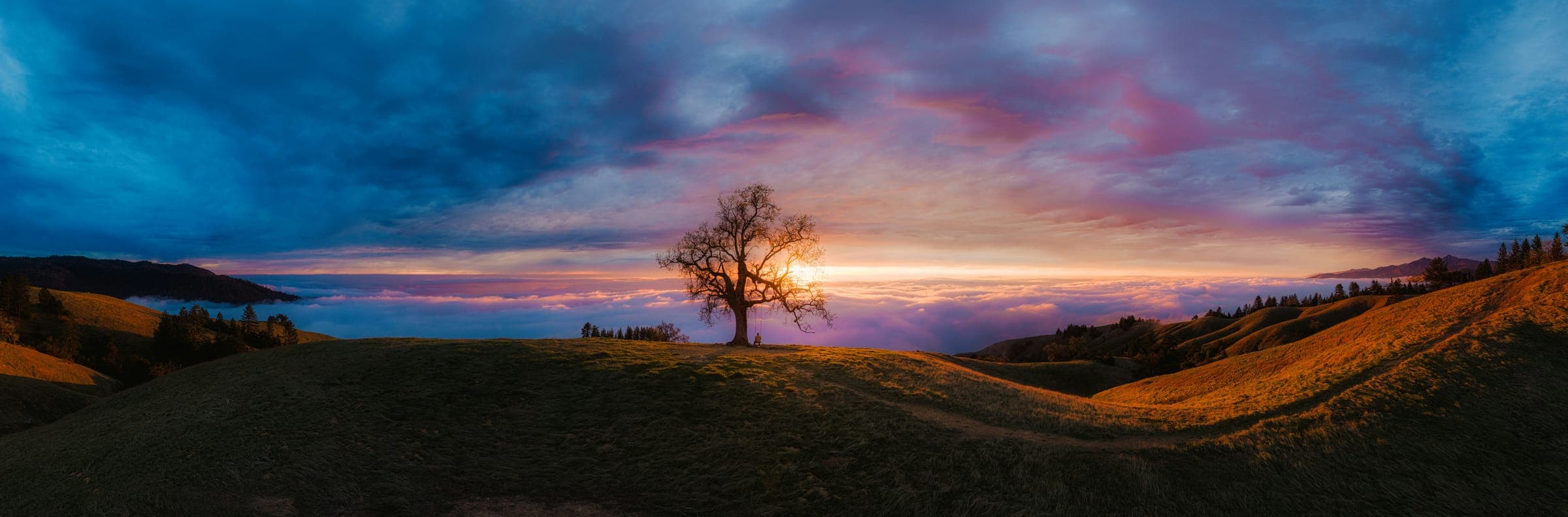 A lone tree on a grassy hill, dark against a sunset above a sea of cloud